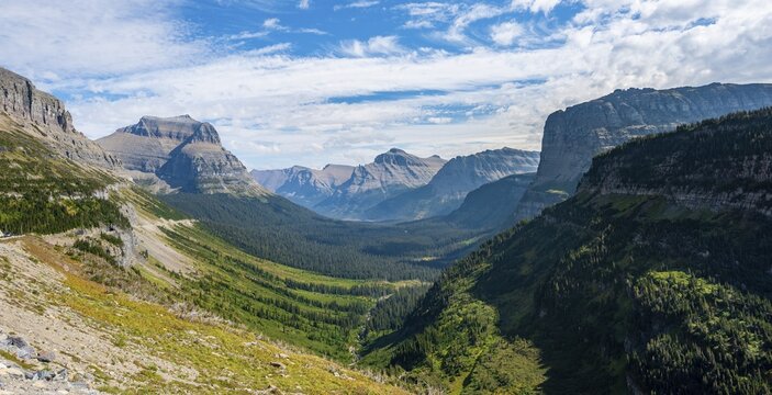 View over a valley with forest and mountain panorama, vantage point, Going-To-The-Sun-Road, Glacier National Park