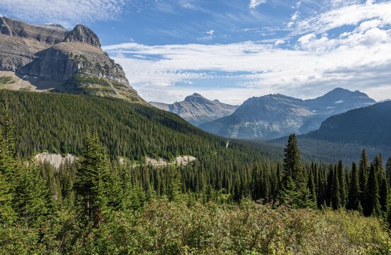View over a valley with forest, vantage point, Going-To-The-Sun-Road, Glacier National Park, Montana, USA