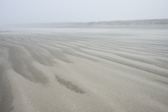 Fog and drifting sand on the beach, Langeoog, Lower Saxony, Germany