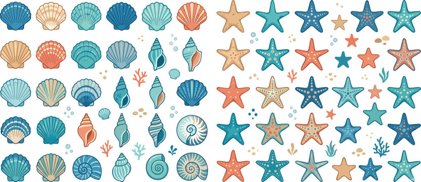 colorful seashell and starfish ocean vector collection