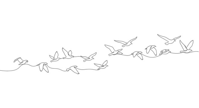 Minimalist flock of birds flying in formation, continuous line art