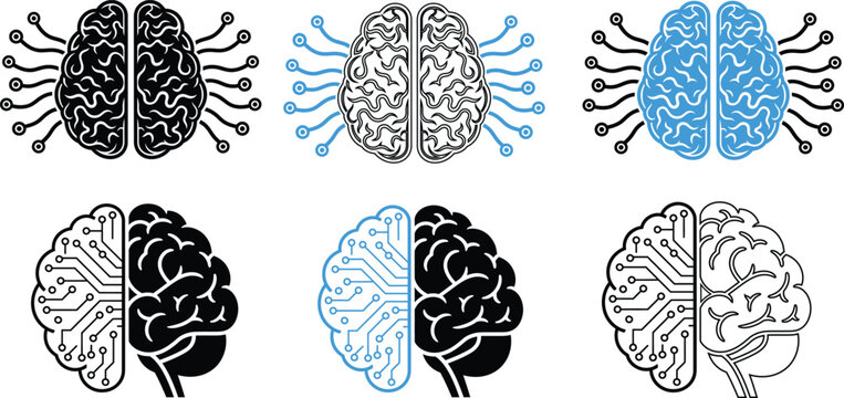 Brain hemispheres and lateralization illustrations