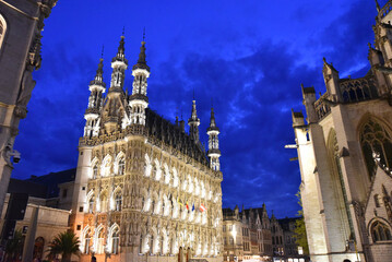 Ades Gothiques  Louvainnuit Belgique