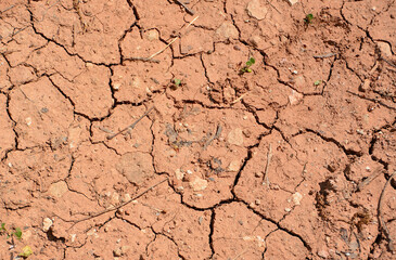 Fototapeta premium Dry red Earth Surface Texture with cracks flat lay