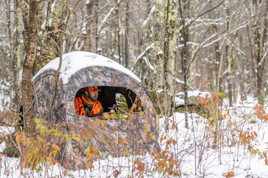 Male hunter in a hunting blind wearing safety orange camouflage and holding a rifle in the woods with fresh snow looking for deer. Killington, Vermont.