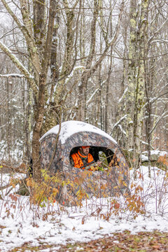 Male hunter in a hunting blind wearing safety orange camouflage and holding a rifle in the woods with fresh snow looking for deer. Killington, Vermont.