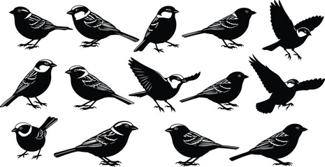 Obraz premium Sparrow bird silhouettes collection, small birds perched and flying poses isolated on white background illustration for wildlife and nature design