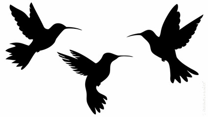 Obraz premium Three black hummingbirds flying in formation against transparent background