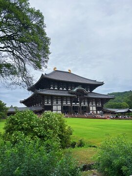 Processed with VSCO with wwf preset