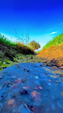 green grass and blue water