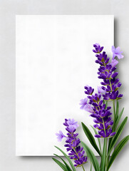 Fototapeta premium Lavender flowers with blank card mockup isolated on light background representing floral stationery design.