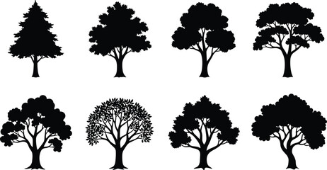 Fototapeta premium Set of deciduous and evergreen tree silhouettes isolated on white background featuring varied natural canopy shapes for design use