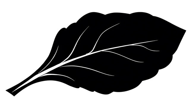A silhouette of a singular leaf, with intricate vein details displayed