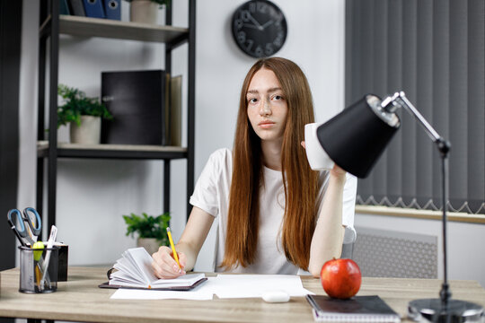 Portrait of a pretty young woman studying while sitting at the table