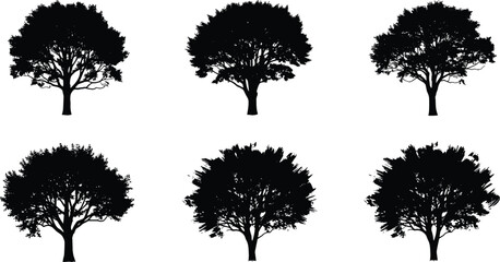 Obraz premium Six black tree silhouettes set isolated on white background, minimalist nature collection for design, logo, branding use projects