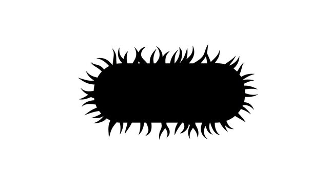 A dark silhouette of a microscopic bacterium against a light backdrop