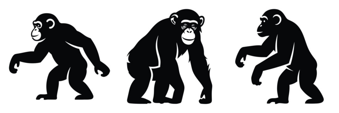chimpanzee silhouette icon set. Animals logos collection and isolated on White background