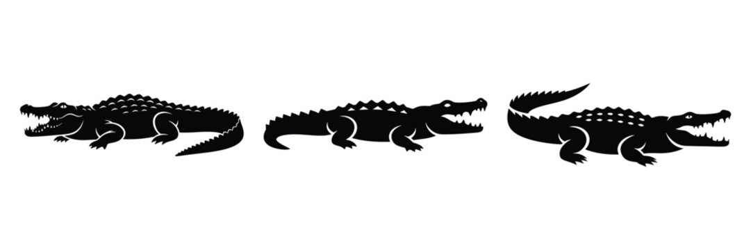 crocodile silhouette icon set. Animals logos collection and isolated on White background