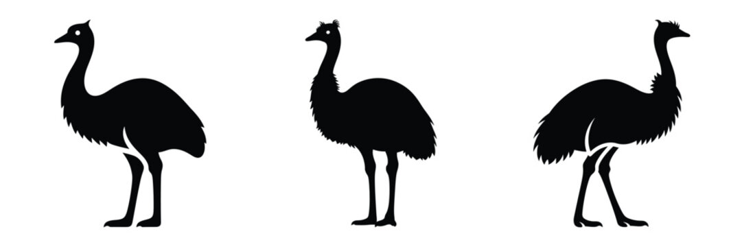 emu silhouette icon set. Animals logos collection and isolated on White background