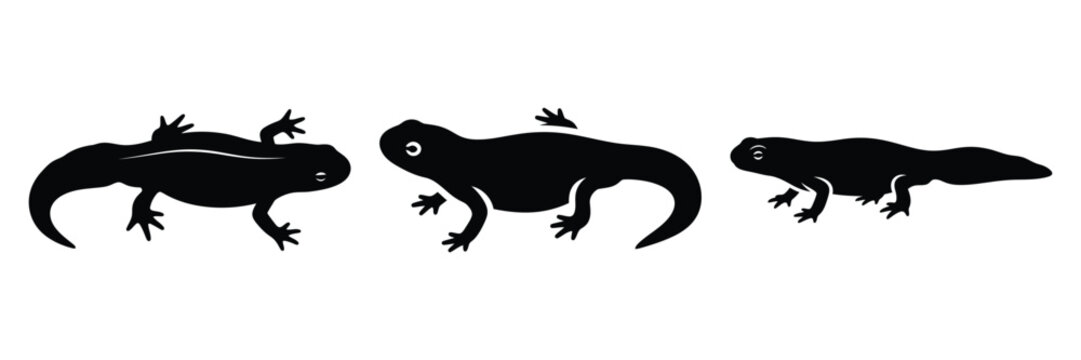 newt silhouette icon set. Animals logos collection and isolated on White background