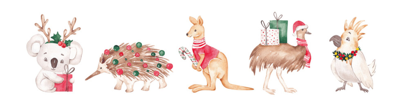 Australian Christmas characters set. Fun watercolor australian animals. Christmas emu, kangaroo, koala, kakadu, echidna