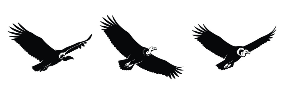 vulture silhouette icon set. Animals logos collection and isolated on White background