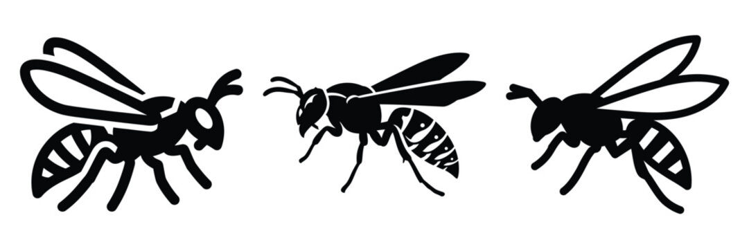 wasp silhouette icon set. Animals logos collection and isolated on White background