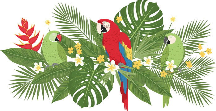 Tropical parrots vector illustration with macaw and green parrots among jungle leaves and flowers, exotic rainforest birds composition, vibrant nature wildlife design