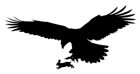Fototapeta premium Eagle Silhouette Carrying Small Prey in Mid Flight Against Clear Background