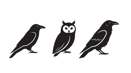 Obraz premium Black Birds Silhouette with Owl on White Background