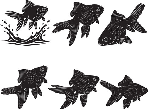 Shubunkin Goldfish Swimming with Speckled Color Pattern Flow