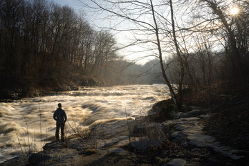 Obraz premium Man silhouette standing by raging river rapids at sunrise, bare winter trees surrounding turbulent water flow. Lower Cataract Falls Indiana after heavy rainfall, golden morning light through forest.