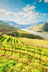 Douro wine valley © neirfy