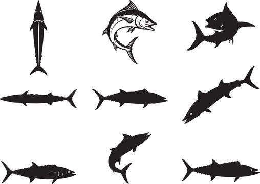 Wahoo Fish Swimming Fast with Sleek Marine Body Shape