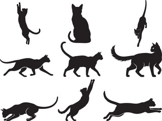 Balinese Cat Elegant Domestic Feline Silhouette © Ansar