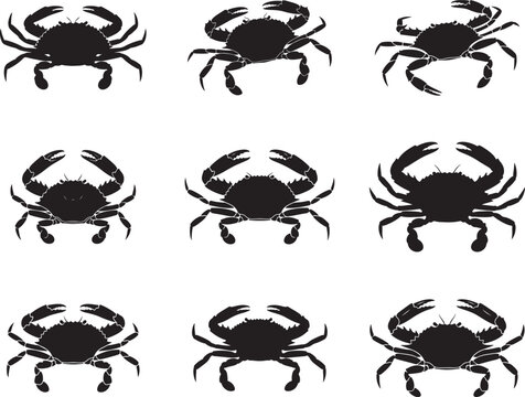 Blue Crab Coastal Crustacean Silhouette