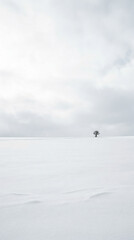 Solitary tree in snowy field