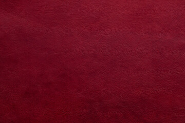 Fototapeta premium Leather texture is displayed in a deep red color highlighting its quality and unique character