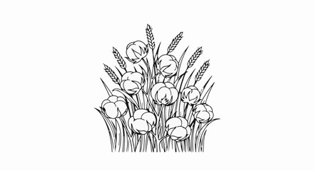 Fototapeta premium A black and white sketch of cotton plants and wheat stalks on white background