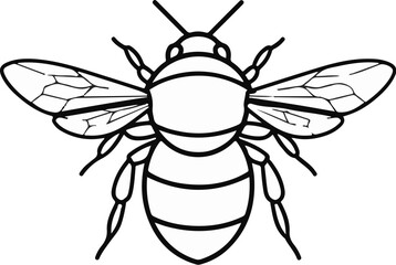 Obraz premium A black and white line drawing of a bee with its wings spread wide