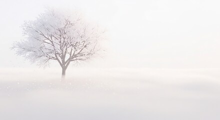 Fototapeta premium Minimalist Winter Tree in Foggy Landscape.