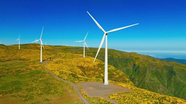 Green renewable alternative energy in Portugal - wind generator turbines among Cytisus flower shrubs generating electricity wind farm on Madeira island, Portugal. Orbit parallax shot