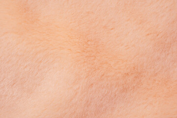 Fototapeta premium Detailed view of a soft warm light peach colored fuzzy fabric textile comfortable surface