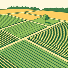 Overhead view of a green agricultural field divided into neat rows with a single tree in the distance