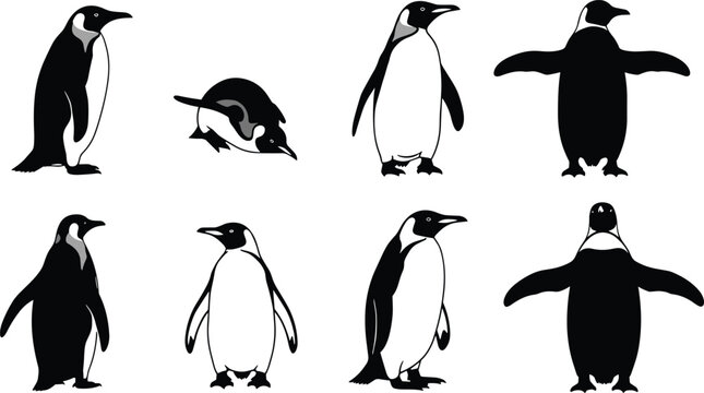 Stylized black and white penguin illustrations in various poses, standing, walking, spreading wings, arranged in rows, distinctive animal artwork