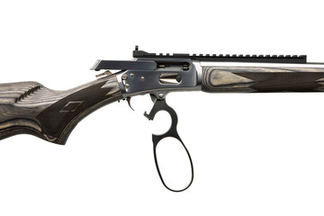 Detailed Receiver Of Lever Rifle