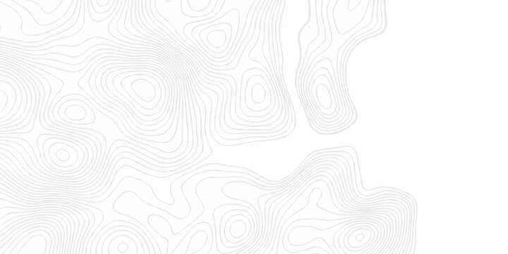 Topographic seamless map pattern with contour lines. Abstract geographic elevation design, lines sea map modern white background.