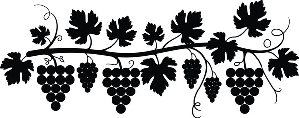 Grape vine branch silhouette with leaves and grape clusters decorative vineyard nature botanical border design element flat vector illustration © Creative Soul