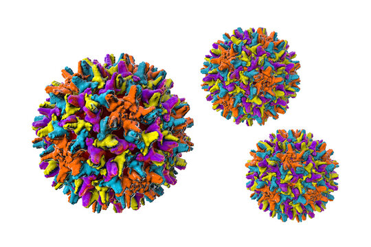 Hepatitis B virus, 3D illustration