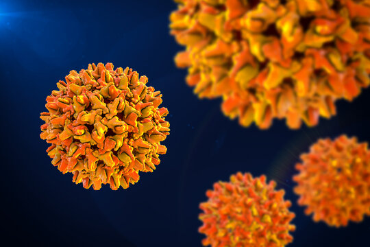 Hepatitis B virus, 3D illustration